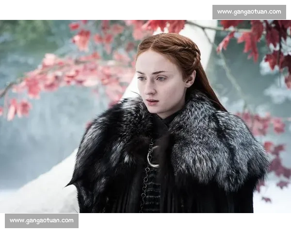 豪门世家背后的秘密与权力斗争:揭开贵族家族的荣光与暗影