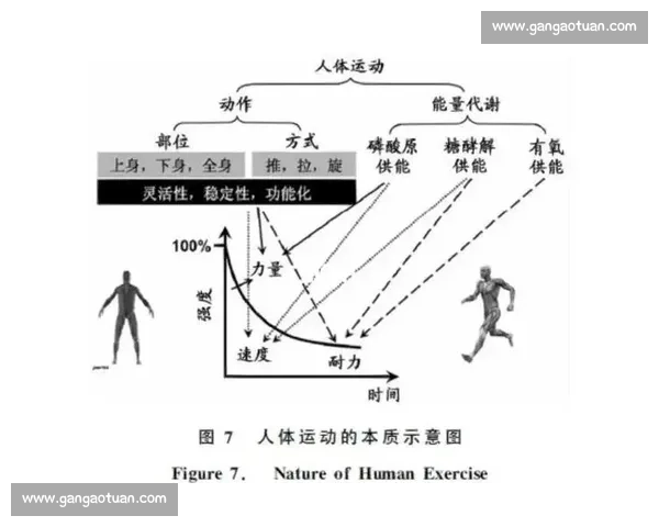 全面提升运动表现的科学体能训练方法与实践指南