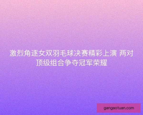 激烈角逐女双羽毛球决赛精彩上演 两对顶级组合争夺冠军荣耀